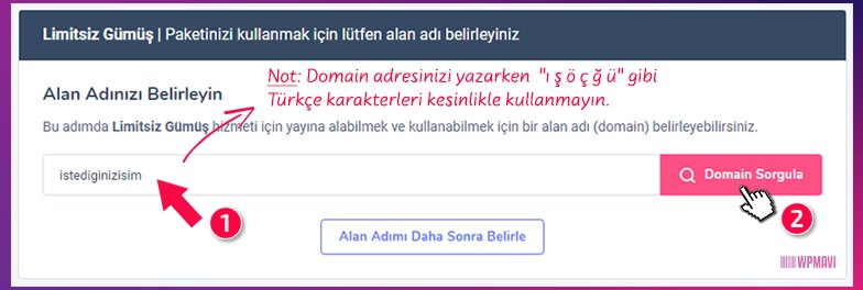 Mail Uzantısı Alma için Alan Adı Sorgulama