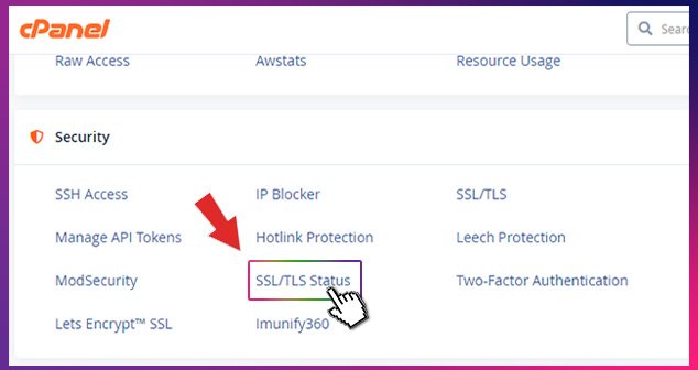  profesyonel e posta için gerekli olan SSL kurulumunu yapmak için cpanel security sekmesinden ssl/tls starus kısmına erişim