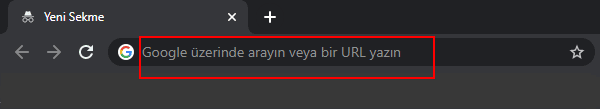 Google da arama yapın veya bir url yazın