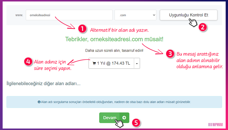 WordPress Yükleme - Alan Adı Belirleme ve Süre seçimi